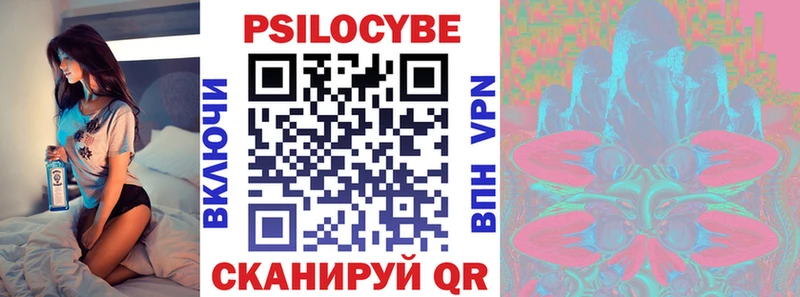 где найти   Краснодар  Галлюциногенные грибы GOLDEN TEACHER 