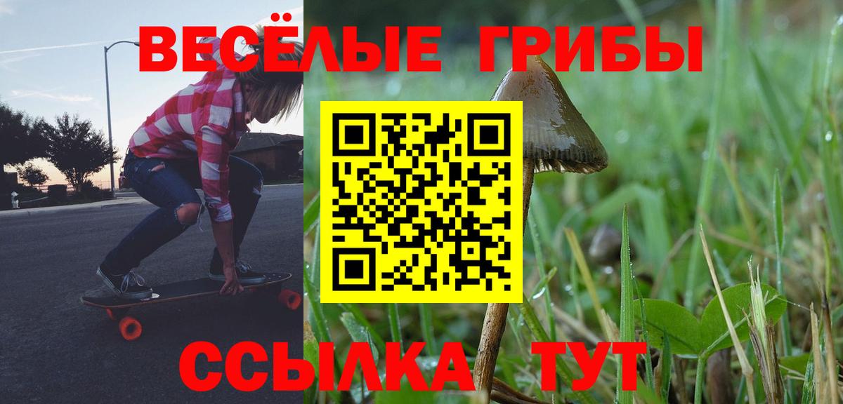 Краснодар  Псилоцибиновые грибы GOLDEN TEACHER  Вход с VPN 
